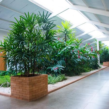 Hotel Vila Verde Penápolis Exteriér fotografie