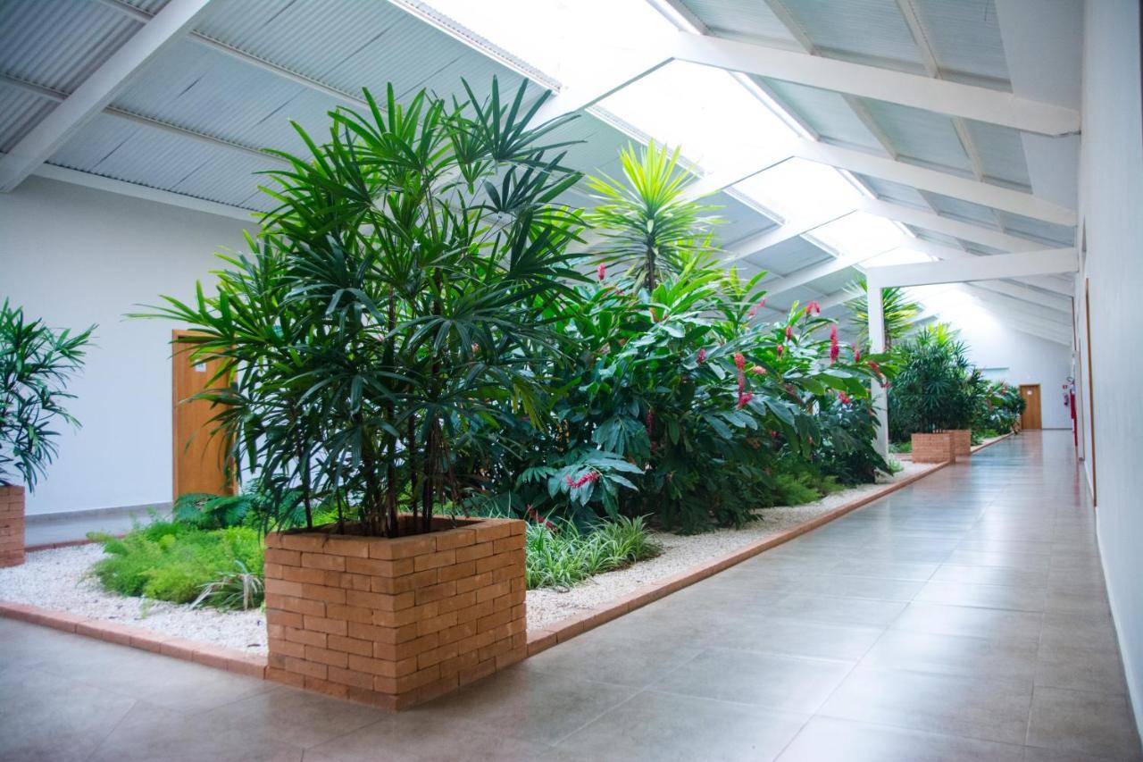 Hotel Vila Verde Penápolis Exteriér fotografie